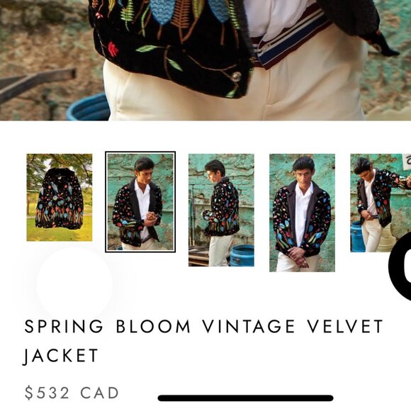 🌸 Perte d’Ego Spring Bloom Vintage Velvet Jacket - Picture 5 of 5